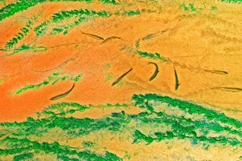 N 059C